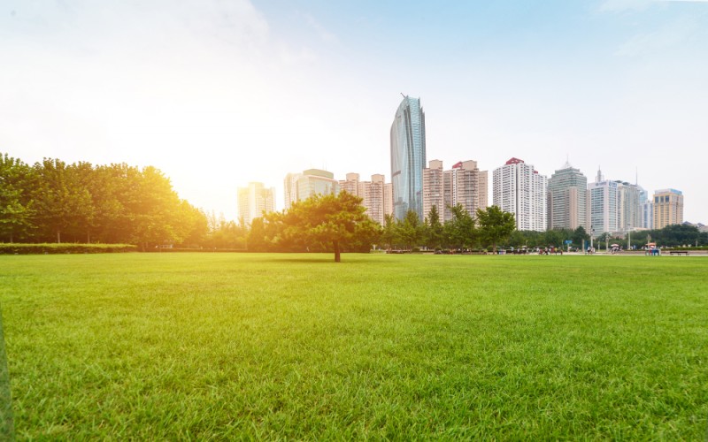 বাংলাদেশে আবাসিক প্লটে বিনিয়োগ করা কেন একটি বিচক্ষণ সিদ্ধান্ত